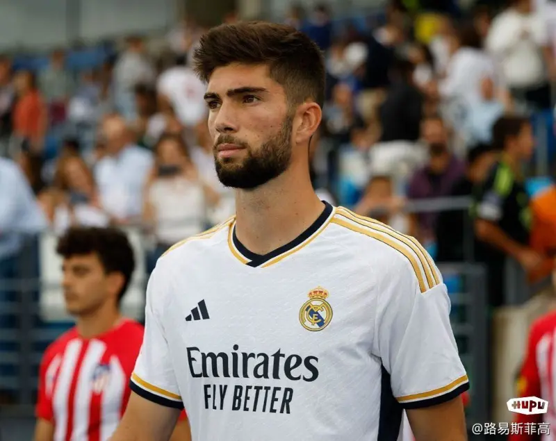 开云入口-那不勒斯内部会议纪要流出：今夜复出首秀，西甲使命明确，控场能力受关注的简单介绍-开云入口